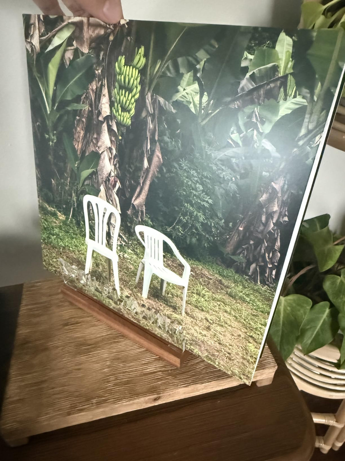 Debí Tirar Más Fotos Gatefold Double LP Vinyl